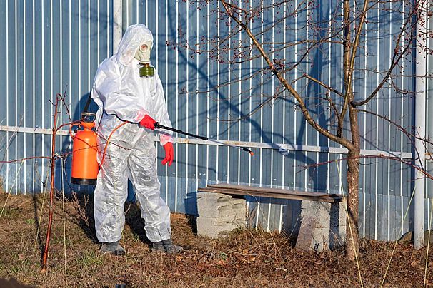 pngtree gardener sprinkling insectecide on an apple tree insectecide insect disinfectant photo image 45526612